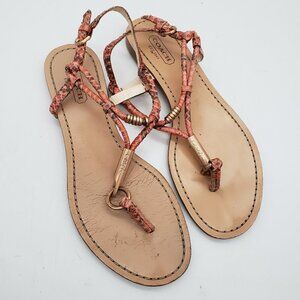 Coach Opal Snakeskin Sandals Size 7